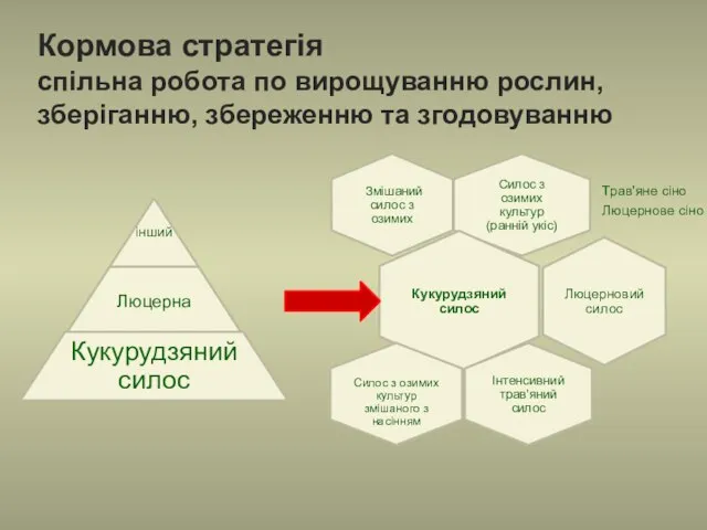 Кормова стратегія спільна робота по вирощуванню рослин, зберіганню, збереженню та згодовуванню