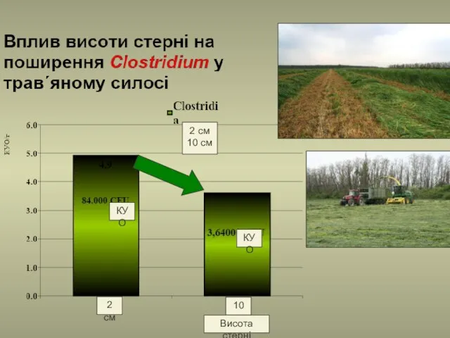 2 см 10 см КУО КУО 2 см 10 см Висота стерні