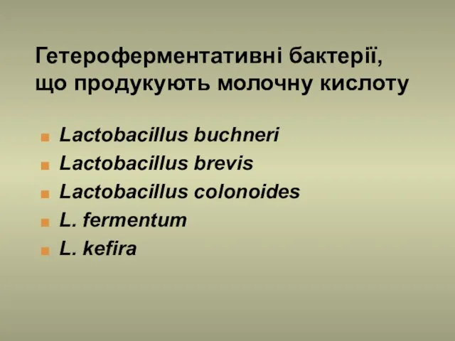 Гетероферментативні бактерії, що продукують молочну кислоту Lactobacillus buchneri Lactobacillus brevis Lactobacillus colonoides L. fermentum L. kefira
