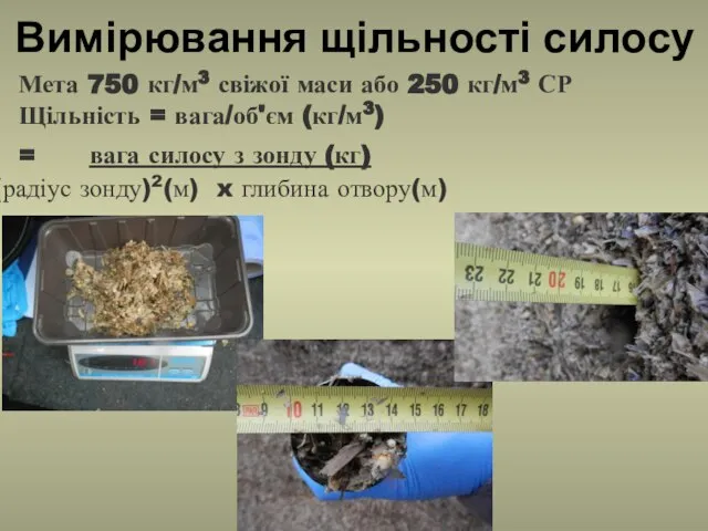 Вимірювання щільності силосу Мета 750 кг/м3 свіжої маси або 250 кг/м3