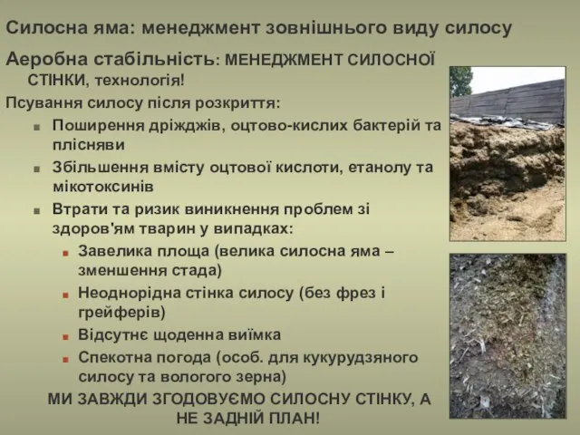 Силосна яма: менеджмент зовнішнього виду силосу Аеробна стабільність: МЕНЕДЖМЕНТ СИЛОСНОЇ СТІНКИ,