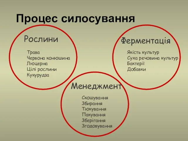 Процес силосування Рослини Трава Червона конюшина Люцерна Цілі рослини Кукурудза