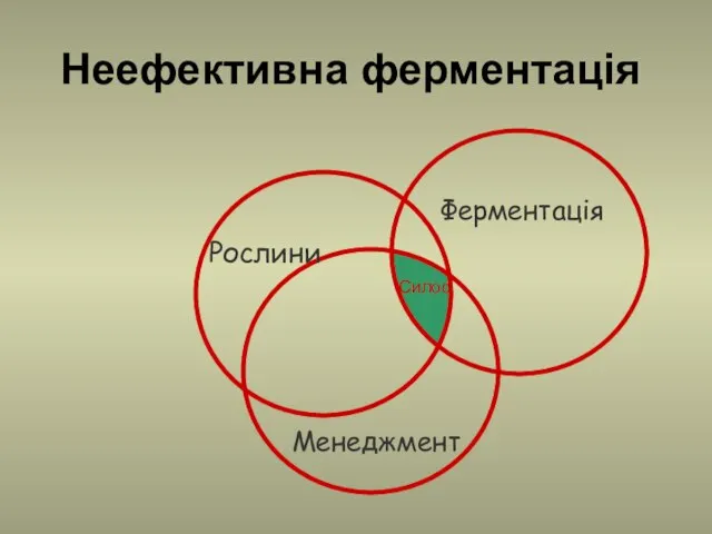 Неефективна ферментація Рослини Менеджмент Ферментація Силос