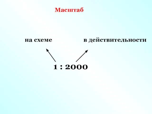 Масштаб 1 : 2000 на схеме в действительности