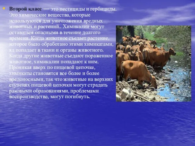 Второй класс — это пестициды и гербициды. Это химические вещества, которые