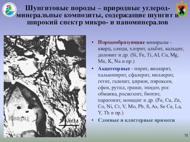 Породообразующие минералы - кварц, слюда, хлорит, альбит, кальцит, доломит и др.