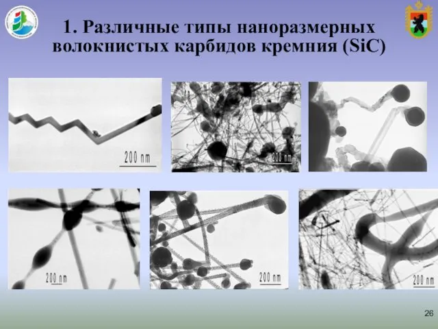 1. Различные типы наноразмерных волокнистых карбидов кремния (SiC)