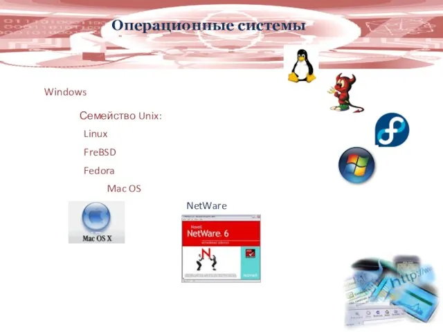 Windows Семейство Unix: Linux FreBSD Fedora Mac OS NetWare Операционные системы