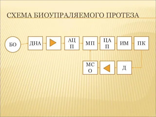 СХЕМА БИОУПРАЛЯЕМОГО ПРОТЕЗА БО ДНА АЦП МП ПК ИМ ЦАП Д МСО