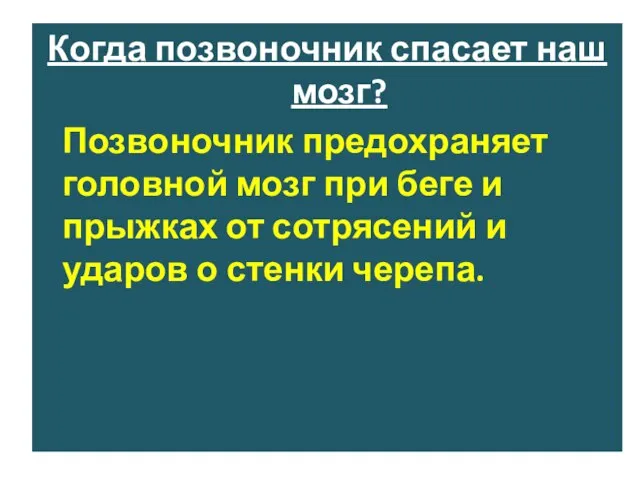 Когда позвоночник спасает наш мозг? Позвоночник предохраняет головной мозг при беге