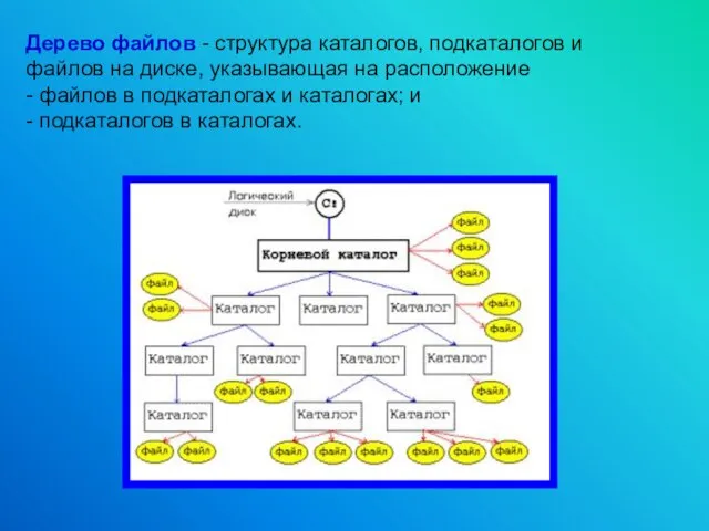 Дерево файлов - структура каталогов, подкаталогов и файлов на диске, указывающая