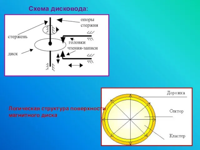 Логическая структура поверхности магнитного диска Схема дисковода: