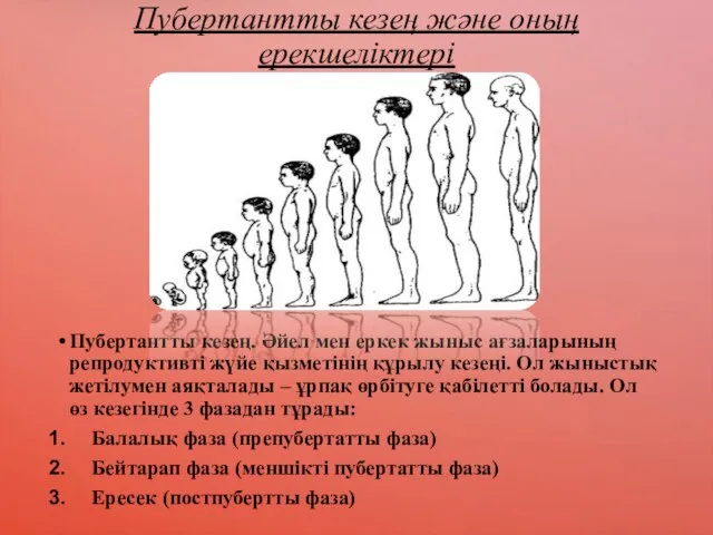 Пубертантты кезең және оның ерекшеліктері Пубертантты кезең. Әйел мен еркек жыныс