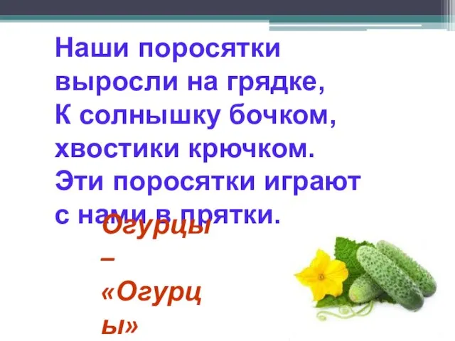 Наши поросятки выросли на грядке, К солнышку бочком, хвостики крючком. Эти