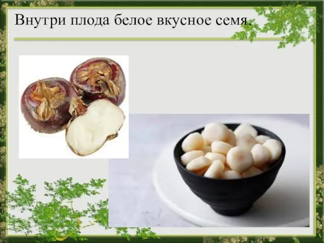 Внутри плода белое вкусное семя.