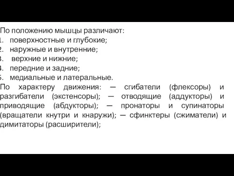 По положению мышцы различают: поверхностные и глубокие; наружные и внутренние; верхние