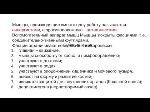 Мышцы, производящие вместе одну работу называются синергистами, а противоположную – антагонистами.