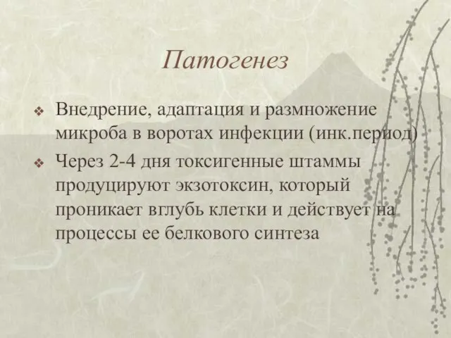 Патогенез Внедрение, адаптация и размножение микроба в воротах инфекции (инк.период) Через