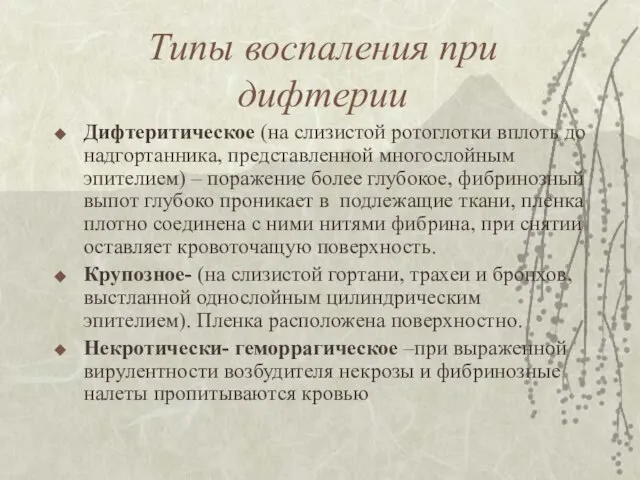 Типы воспаления при дифтерии Дифтеритическое (на слизистой ротоглотки вплоть до надгортанника,