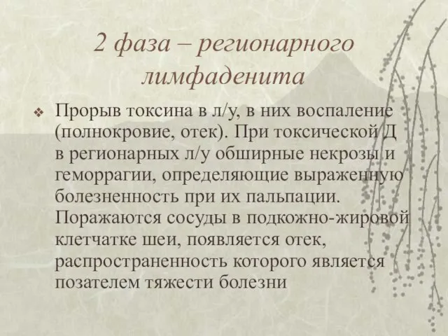 2 фаза – регионарного лимфаденита Прорыв токсина в л/у, в них