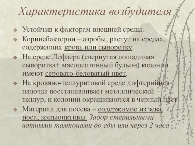 Характеристика возбудителя Устойчив к факторам внешней среды. Коринебактерии – аэробы, растут