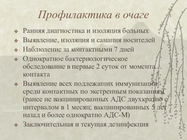 Профилактика в очаге Ранняя диагностика и изоляция больных Выявление, изоляция и