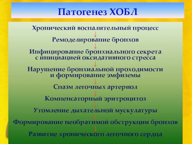 Патогенез ХОБЛ Хронический воспалительный процесс ↓ Ремоделирование бронхов ↓ Инфицирование бронхиального