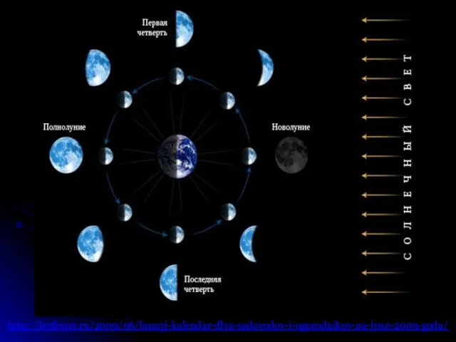 http://lesfleurs.ru/2009/06/lunnyj-kalendar-dlya-sadovodov-i-ogorodnikov-na-iyun-2009-goda/