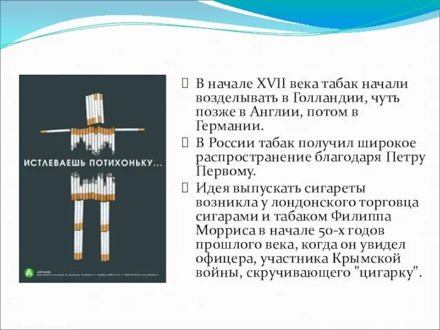 В начале XVII века табак начали возделывать в Голландии, чуть позже