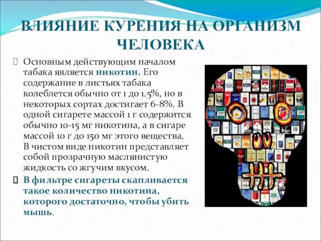 ВЛИЯНИЕ КУРЕНИЯ НА ОРГАНИЗМ ЧЕЛОВЕКА Основным действующим началом табака является никотин.