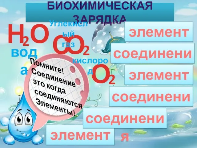 БИОХИМИЧЕСКАЯ ЗАРЯДКА вода Углекислый газ кислород элементы соединения элементы элементы соединения соединения