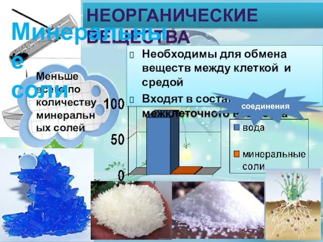 НЕОРГАНИЧЕСКИЕ ВЕЩЕСТВА Минеральные соли Необходимы для обмена веществ между клеткой и