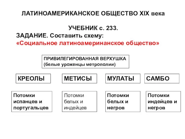 ЛАТИНОАМЕРИКАНСКОЕ ОБЩЕСТВО XIX века УЧЕБНИК с. 233. ЗАДАНИЕ. Составить схему: «Социальное