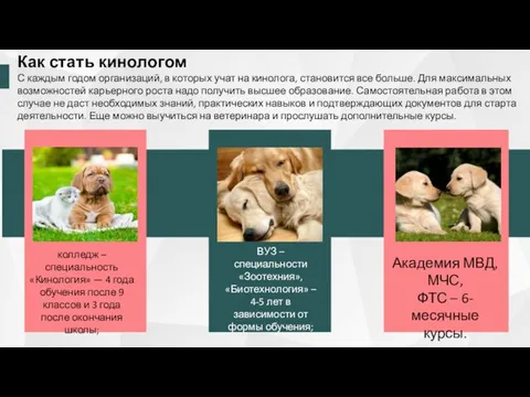 колледж – специальность «Кинология» — 4 года обучения после 9 классов