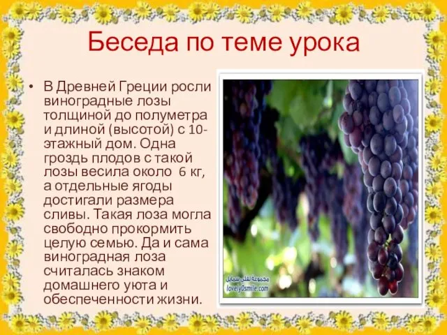 Беседа по теме урока В Древней Греции росли виноградные лозы толщиной