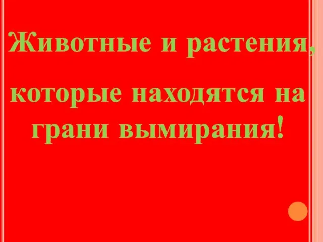 Животные и растения, которые находятся на грани вымирания!