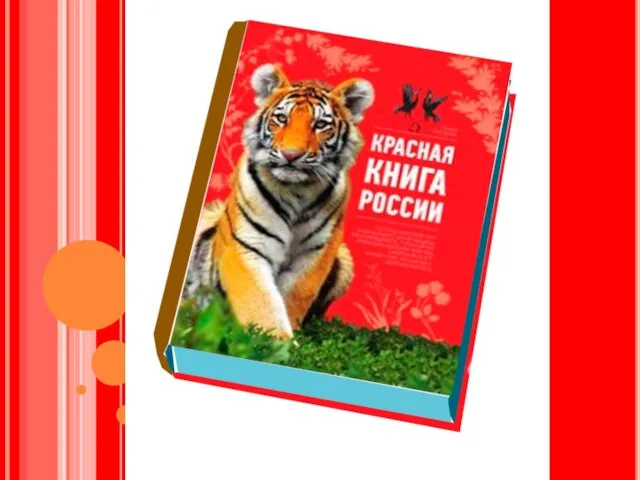 КРАСНАЯ КНИГА