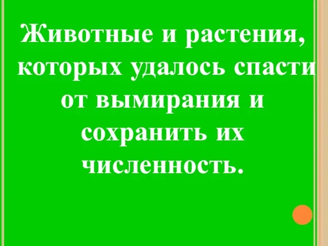 Животные и растения, которых удалось спасти от вымирания и сохранить их численность.