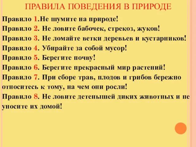 ПРАВИЛА ПОВЕДЕНИЯ В ПРИРОДЕ Правило 1.Не шумите на природе! Правило 2.