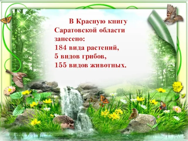 В Красную книгу Саратовской области занесено: 184 вида растений, 5 видов грибов, 155 видов животных.