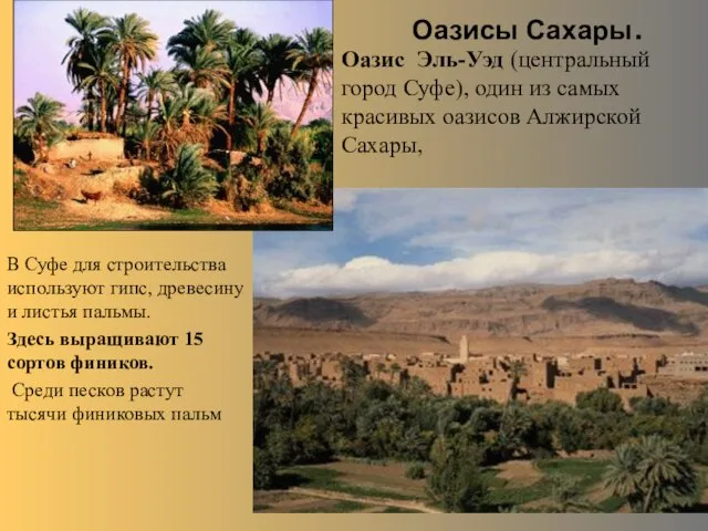 Оазисы Сахары. Оазис Эль-Уэд (центральный город Суфе), один из самых красивых