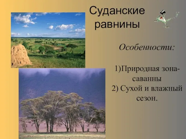 Особенности: 1)Природная зона- саванны 2) Сухой и влажный сезон. Суданские равнины