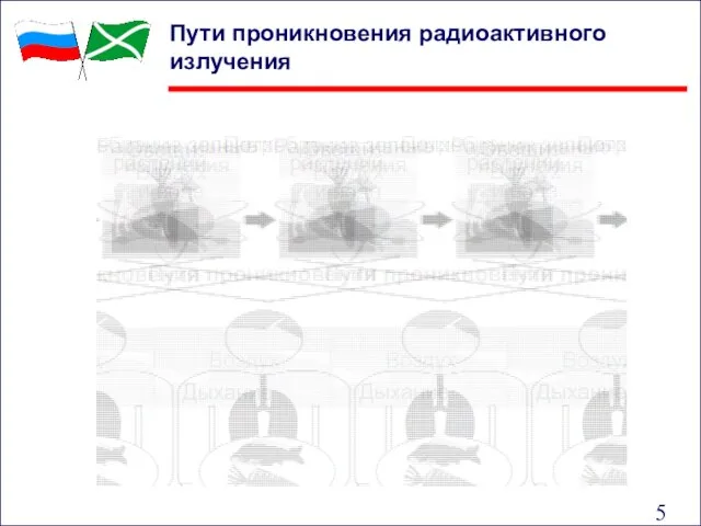 Пути проникновения радиоактивного излучения