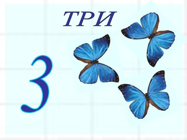 ТРИ 3