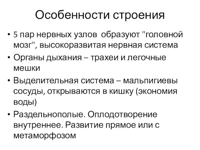 Особенности строения 5 пар нервных узлов образуют "головной мозг", высокоразвитая нервная