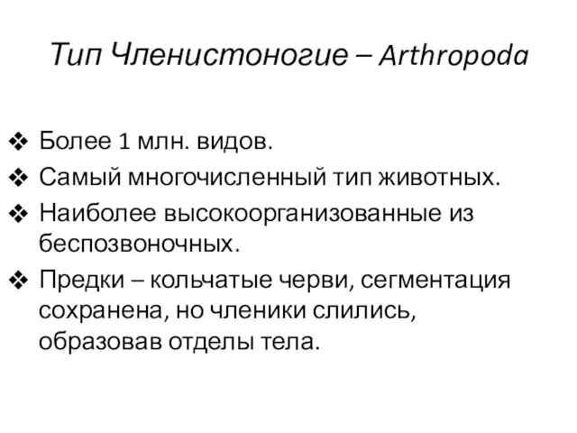 Тип Членистоногие – Arthropoda Более 1 млн. видов. Самый многочисленный тип