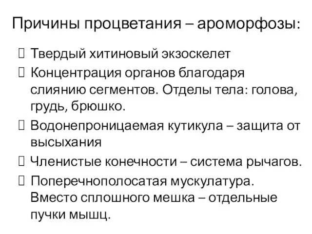 Причины процветания – ароморфозы: Твердый хитиновый экзоскелет Концентрация органов благодаря слиянию