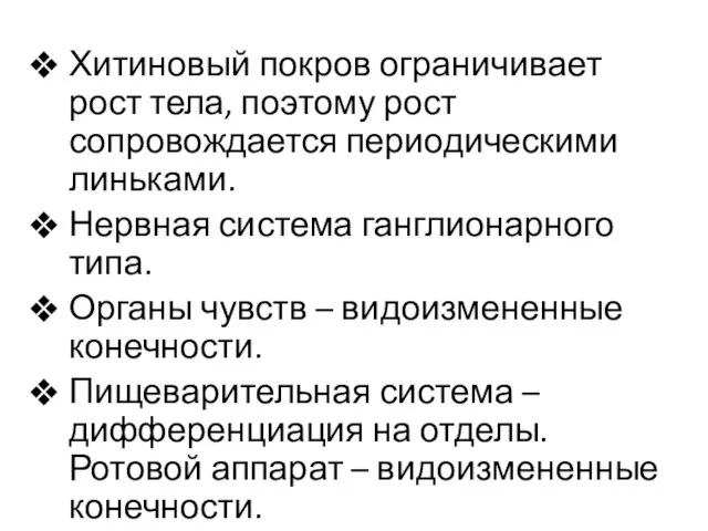 Хитиновый покров ограничивает рост тела, поэтому рост сопровождается периодическими линьками. Нервная