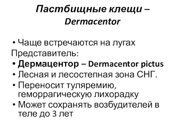 Пастбищные клещи – Dermacentor Чаще встречаются на лугах Представитель: Дермацентор –