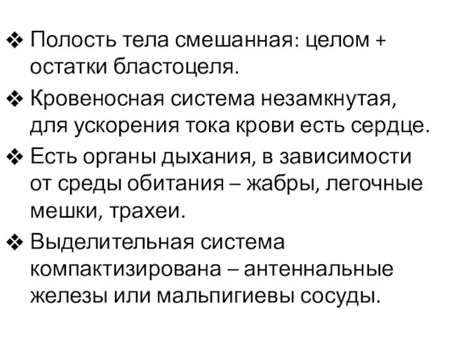 Полость тела смешанная: целом + остатки бластоцеля. Кровеносная система незамкнутая, для